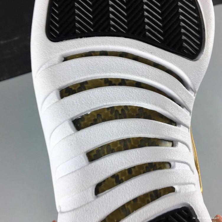 Air  Jordan  Wings AO6068-007 WMNS 12 0407